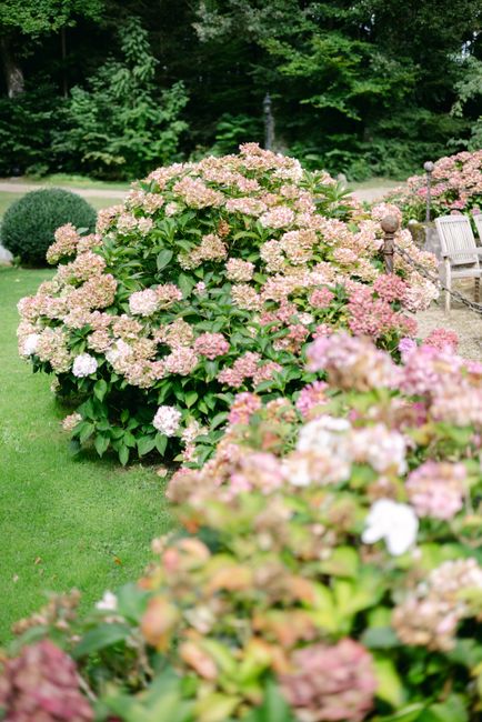 Low Maintenance Garden Flowers That Still Earn Their Place All Season