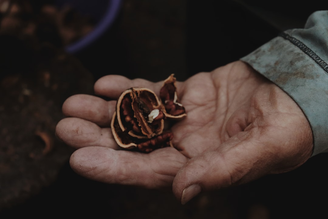 Save Seeds from This Year's Garden and Sow Them Again Next Spring
