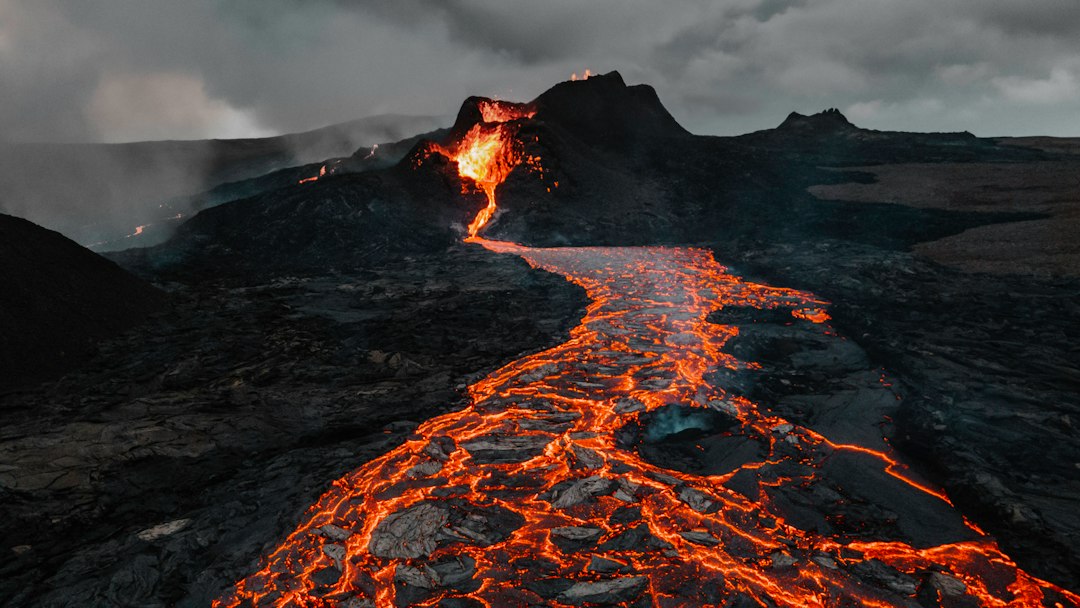 The Benefits and Uses of Humuforte Lava Meal for Your Garden
