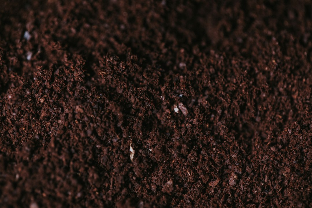 5 Best Soil Mixes for Vegetables That Actually Produce Results