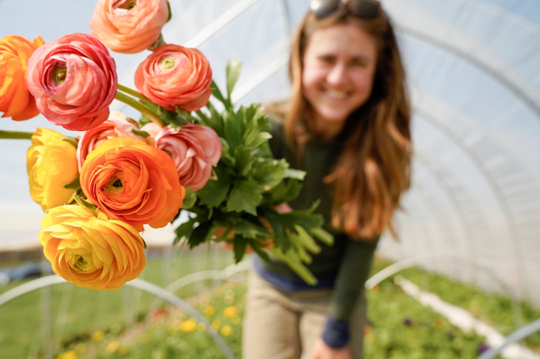How to Grow, Harvest and Protect Ranunculus: A Complete Grower's Guide