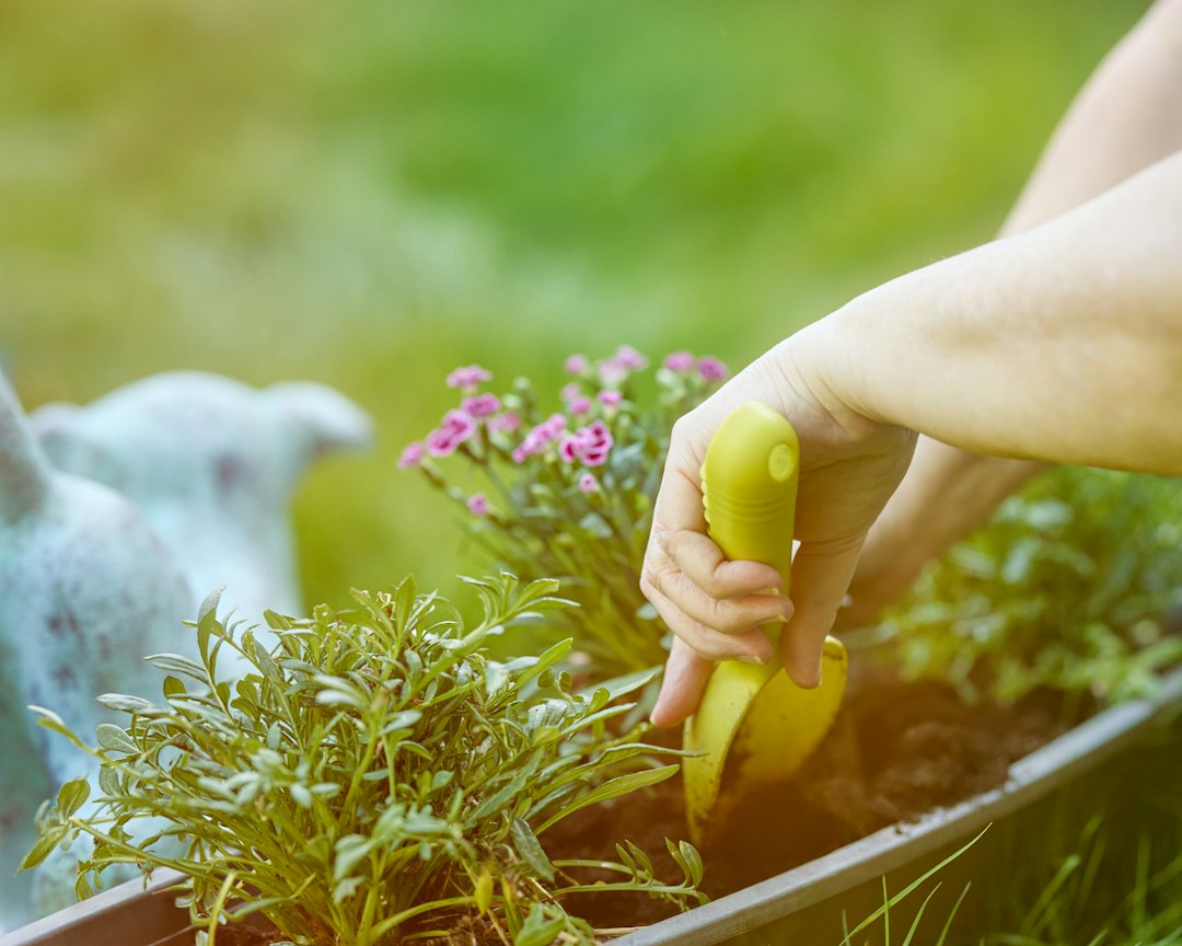 Running, Gym, or Gardening: Which One is Actually Better for Your Health?