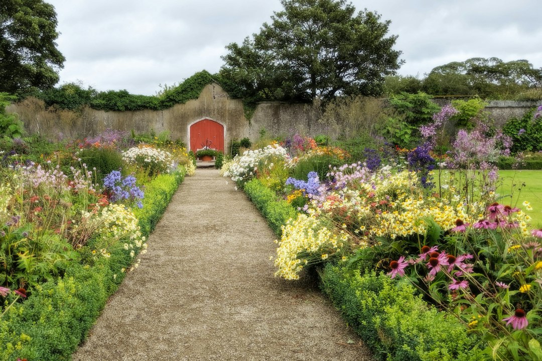 How a Wildflower Seed Mix Can Transform a Dull Garden Border
