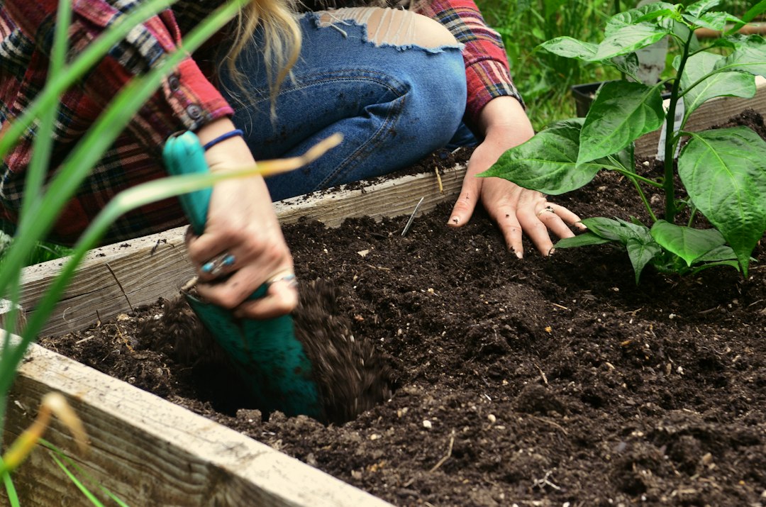 6 Best Gardening Tools for Beginners That Won't Let You Down