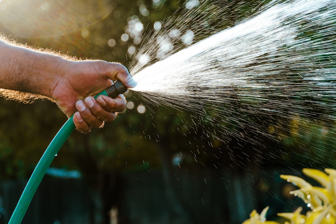 How Often Should You Water Your Vegetable Garden During a Summer Heatwave?