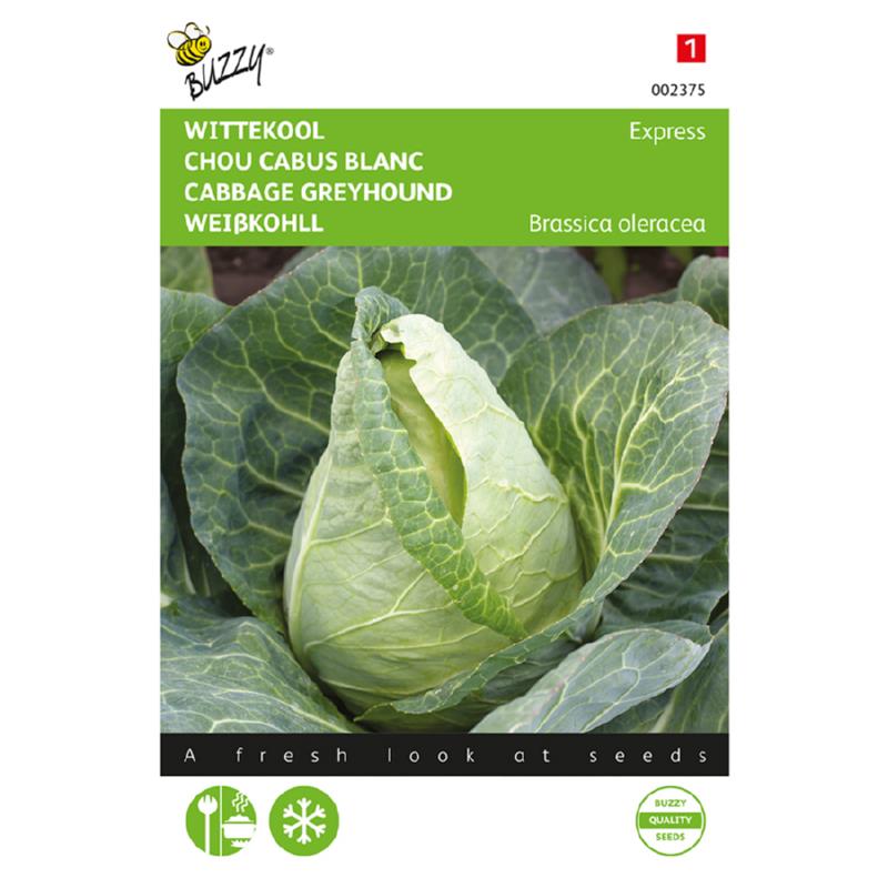 Kupus - Greyhound - 2g