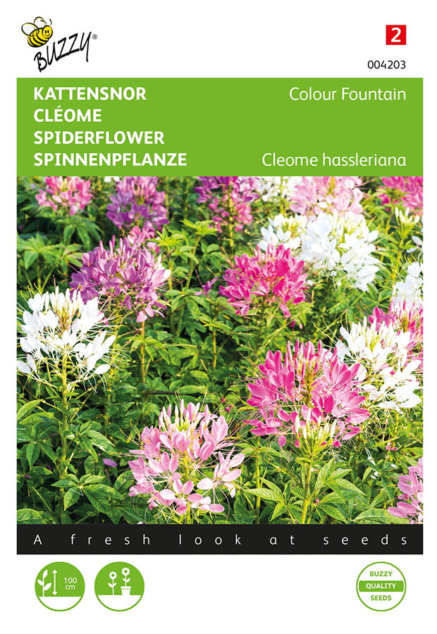 Paukov cvijet – Colour Fountain – 0,5 g