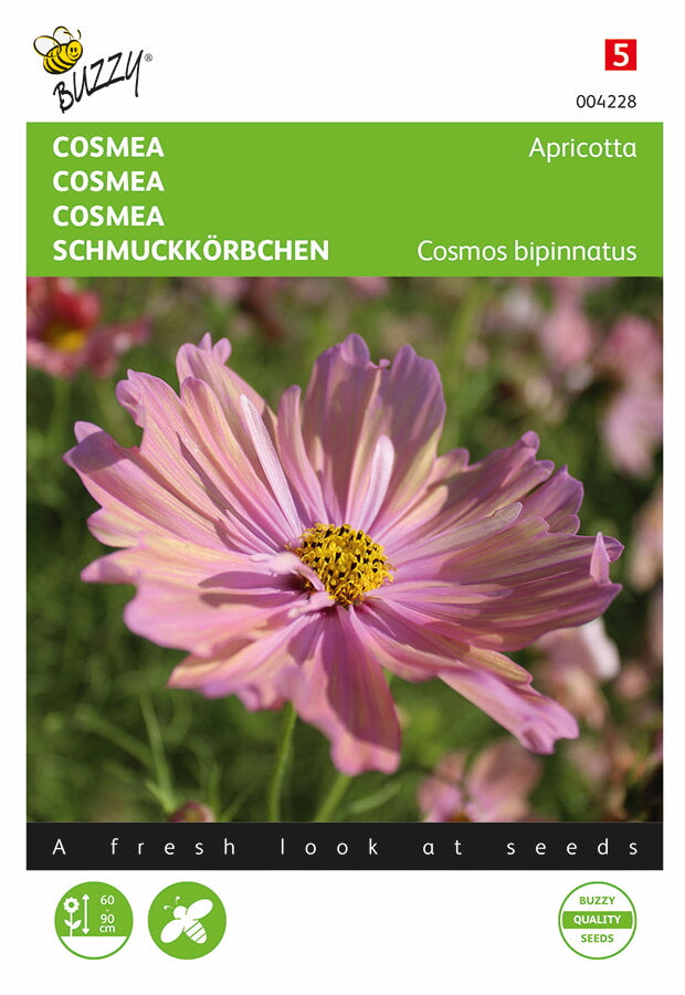 Cosmea - Apricotta - 30 sjemenki