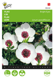 Lan - Bright Eyes - 1g