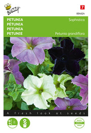 Petunija – Sophistica – 10 sjemenki