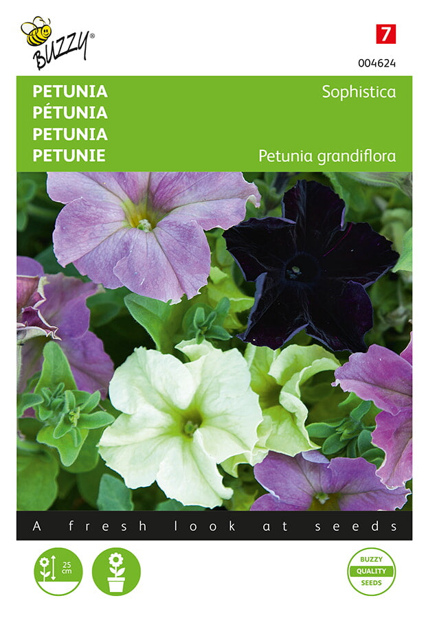 Petunija – Sophistica – 10 sjemenki
