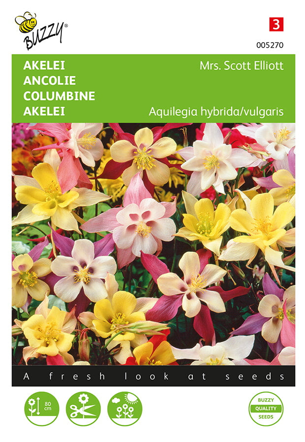 Orlica - Mrs. Scott Elliott - 0,5 g