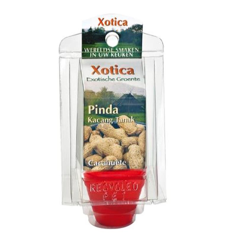 Uzgoj Kikirikija u Posudama