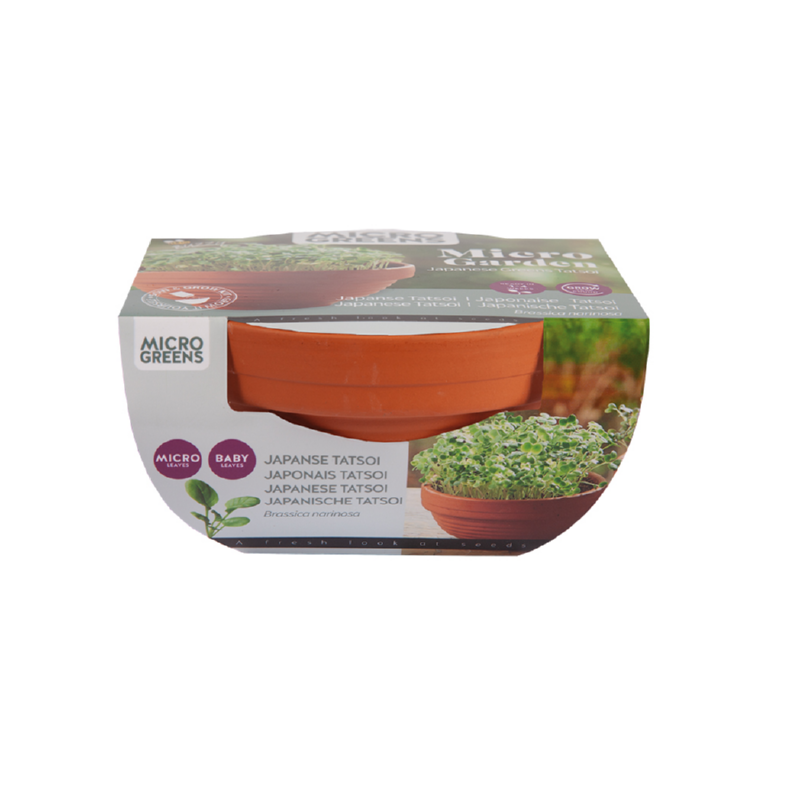 Sow & Grow kit - Mikro vrt - Japansko zelje Tatsoi
