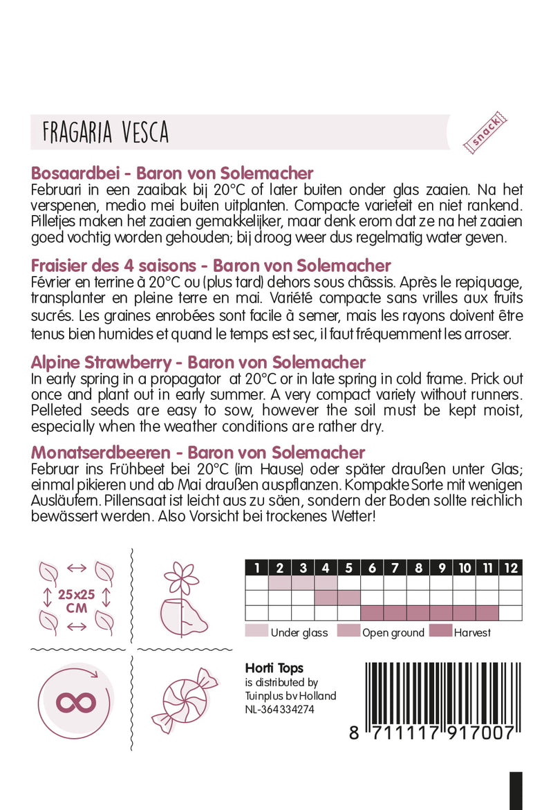 Strawberry - Baron von Solemacher - 100 pelleted seeds