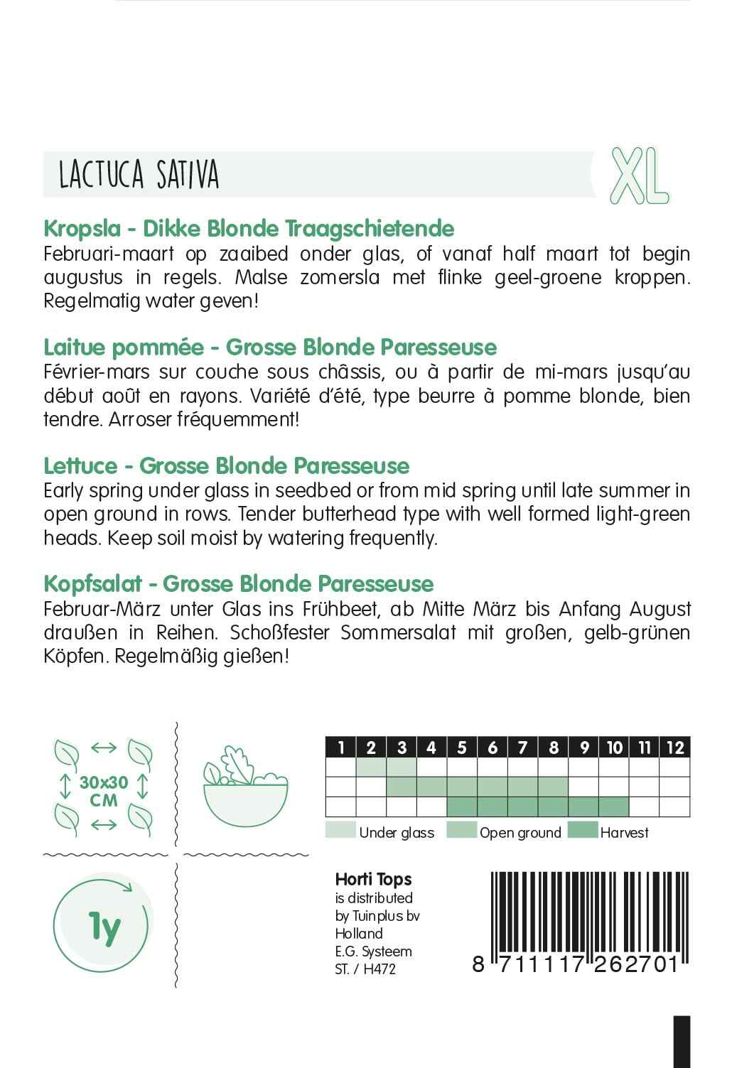 Lettuce - Dikke Blonde Traagschietende - 3 g