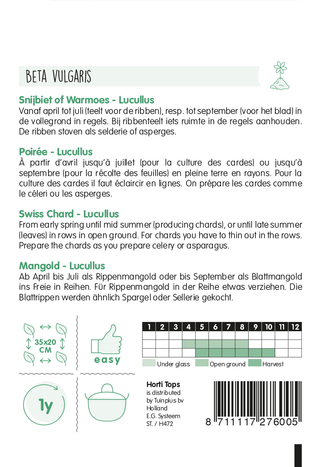 Swiss Chard - Lucullus - 5 g