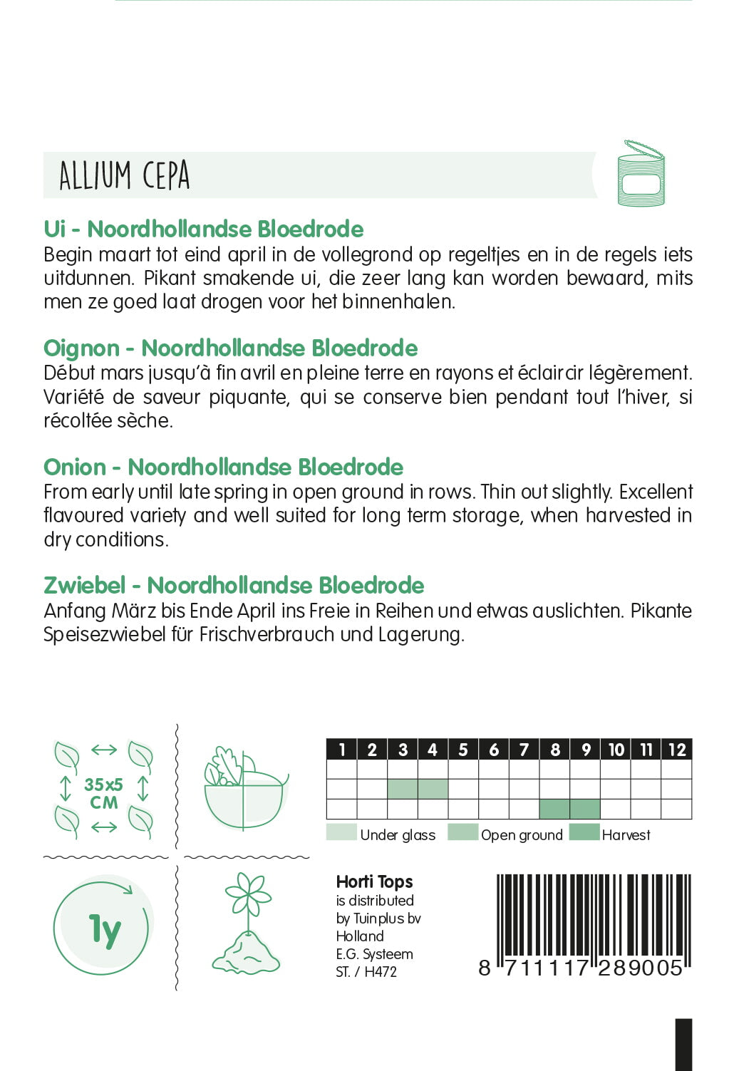 Onion - Noordhollandse Bloedrode - 4 g