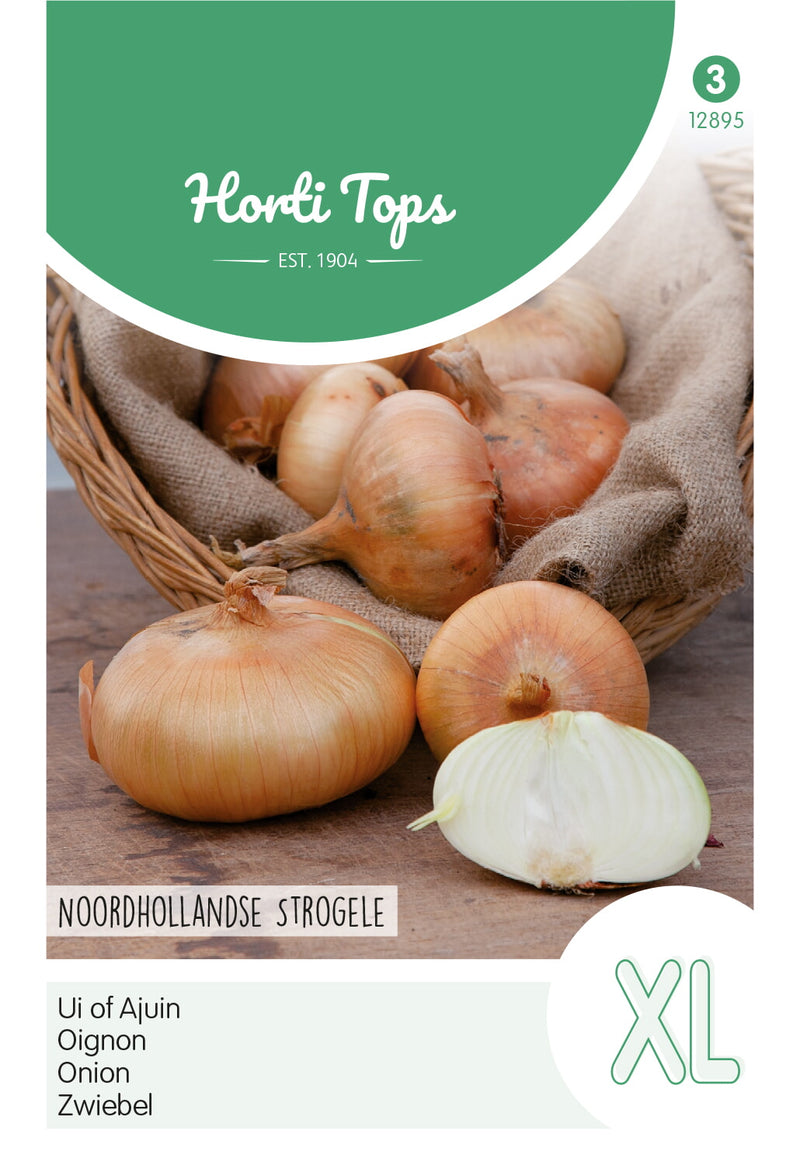 Luk - Noordhollandse Strogele - 4 g