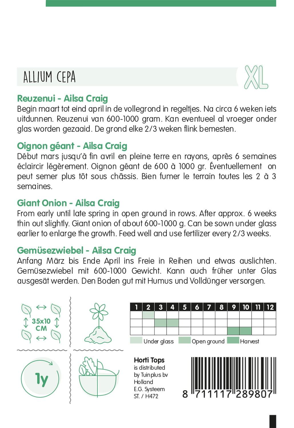 Divovski Luk - Ailsa Craig - 2,5 g