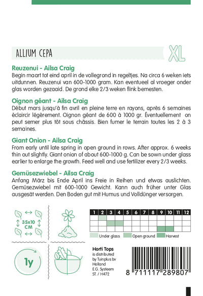 Divovski luk - Ailsa Craig - 2,5 g