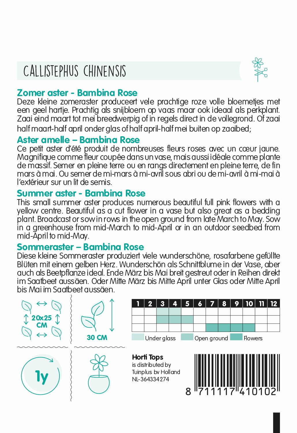 Ljetna Astra - Bambina Rose - 20 Sjemenki