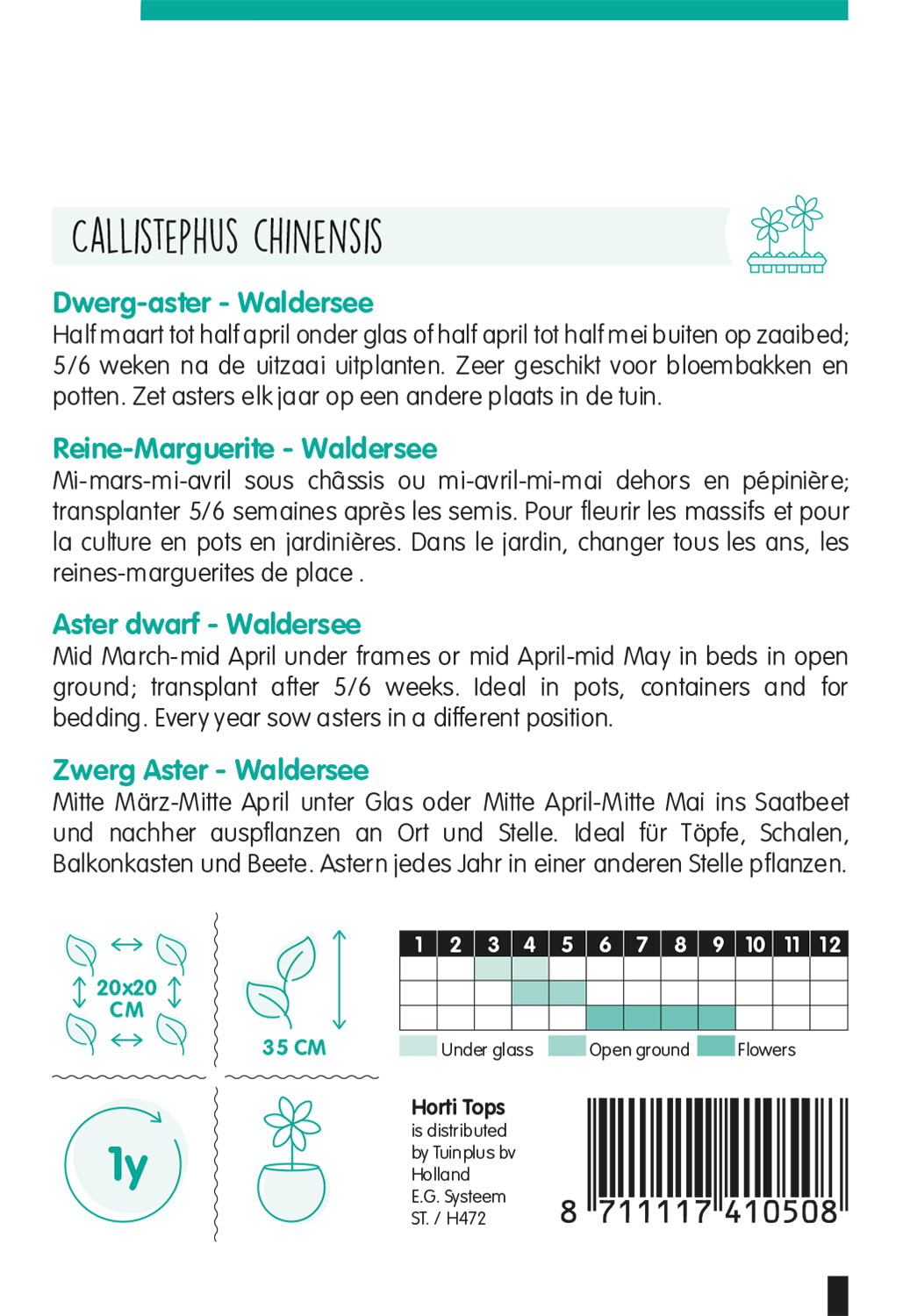 Aster Dwarf - Waldersee - 0,4g