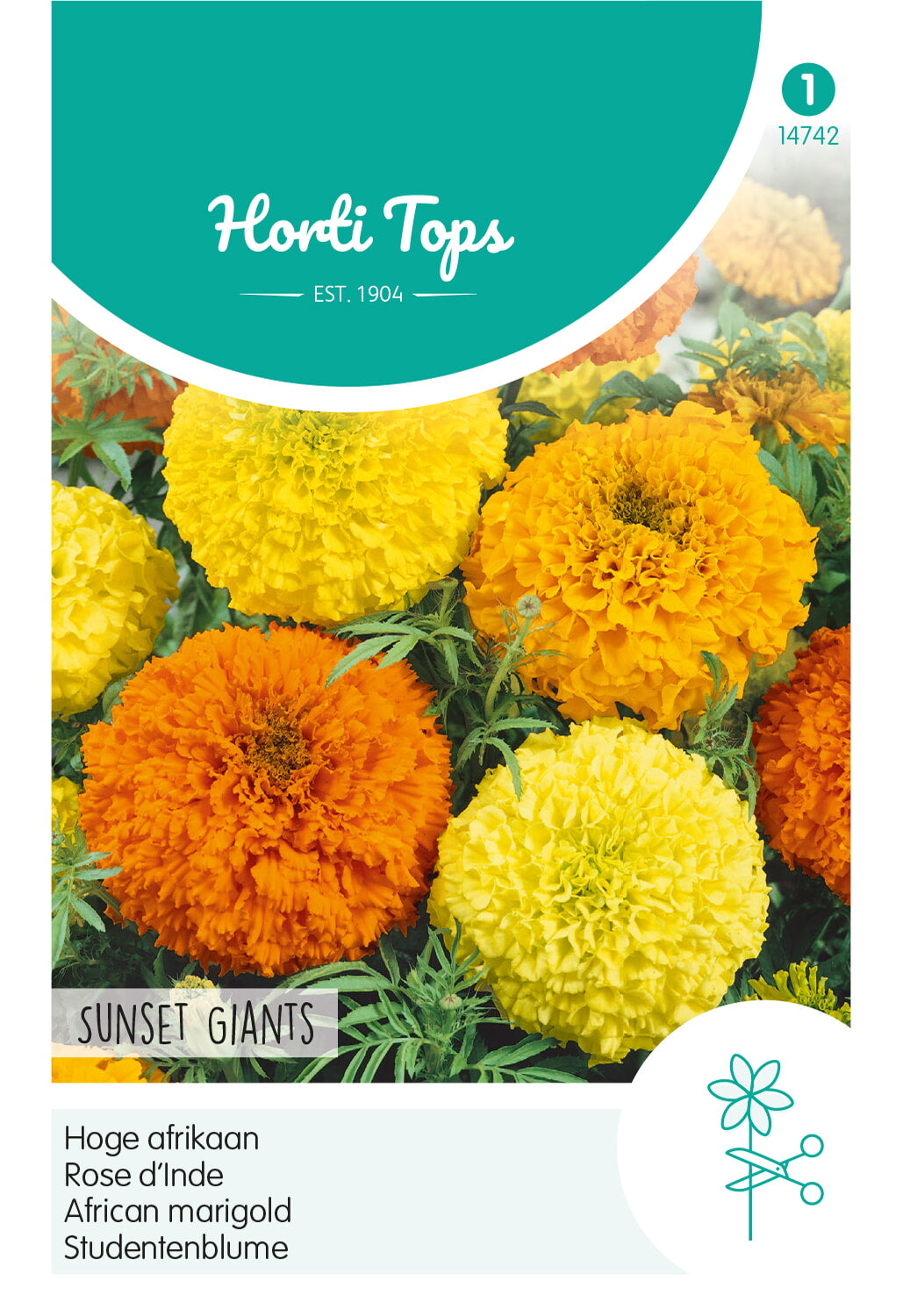Afrička kadifica – Sunset Giants – 1 g