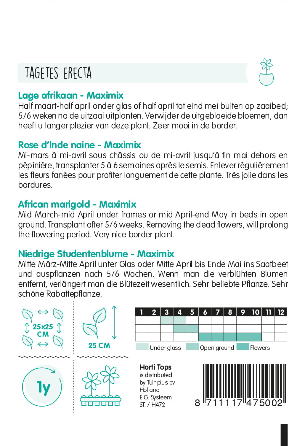 Afrička kadifica – Maximix – 0,5 g