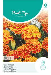 French Marigold - Bolero - 1 g