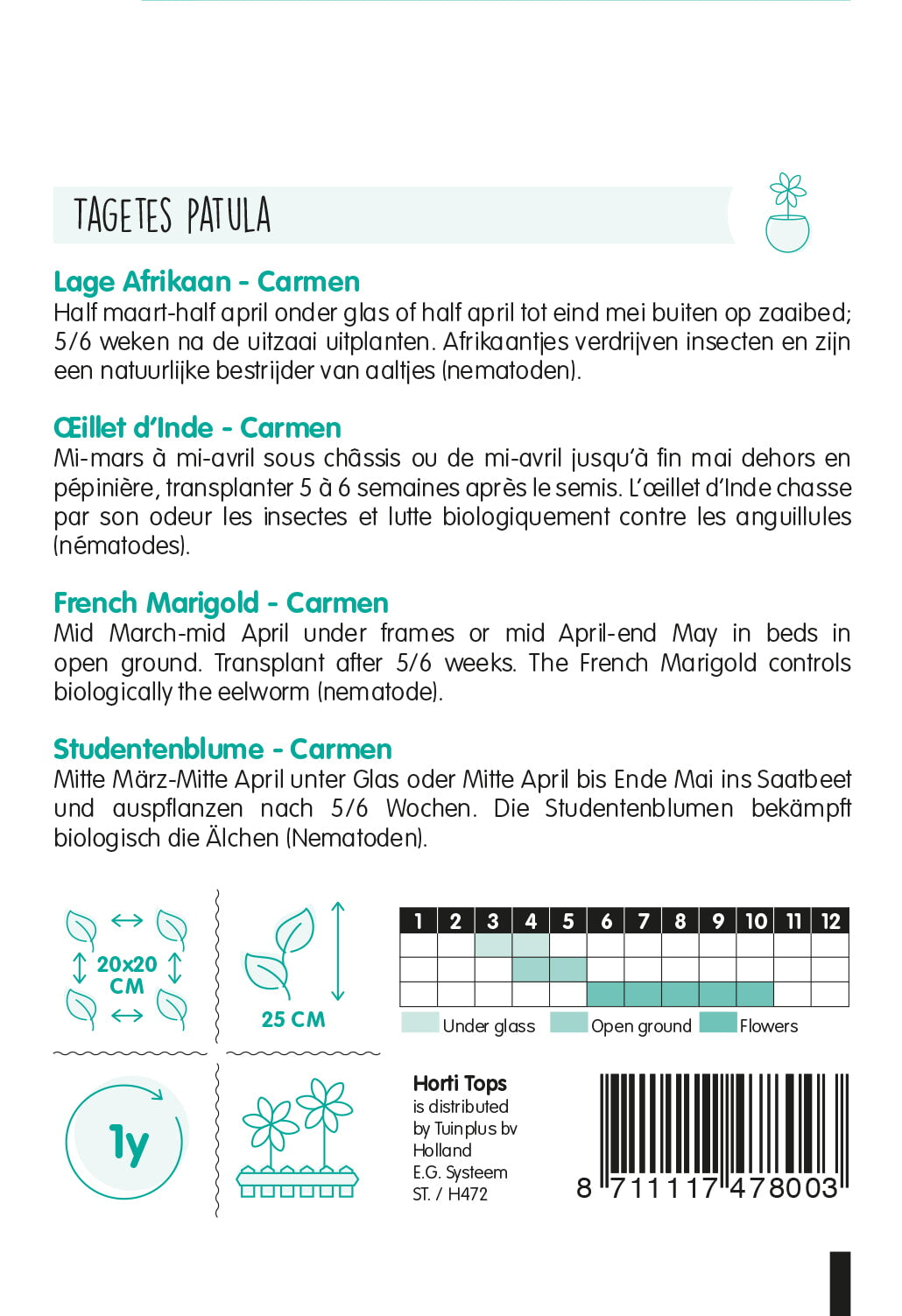 Francuska kadifica – Carmen – 1 g