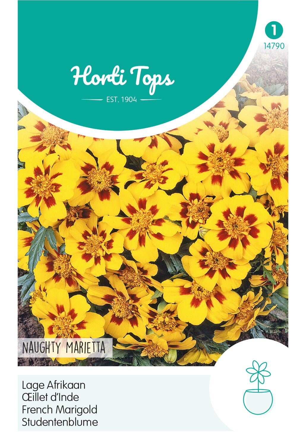 French Marigold - Naughty Marietta - 1 g