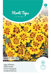 French Marigold - Naughty Marietta - 1 g