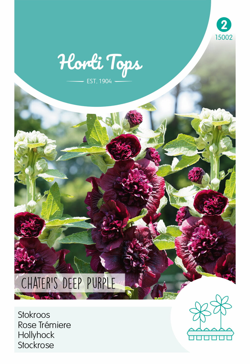 Hollyhock - Chater's Deep Purple - 0,25g