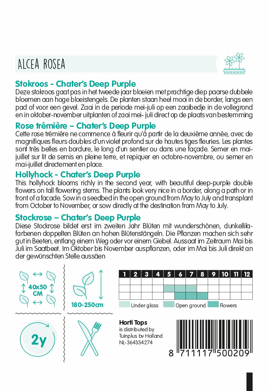 Hollyhock - Chater's Deep Purple - 0,25g