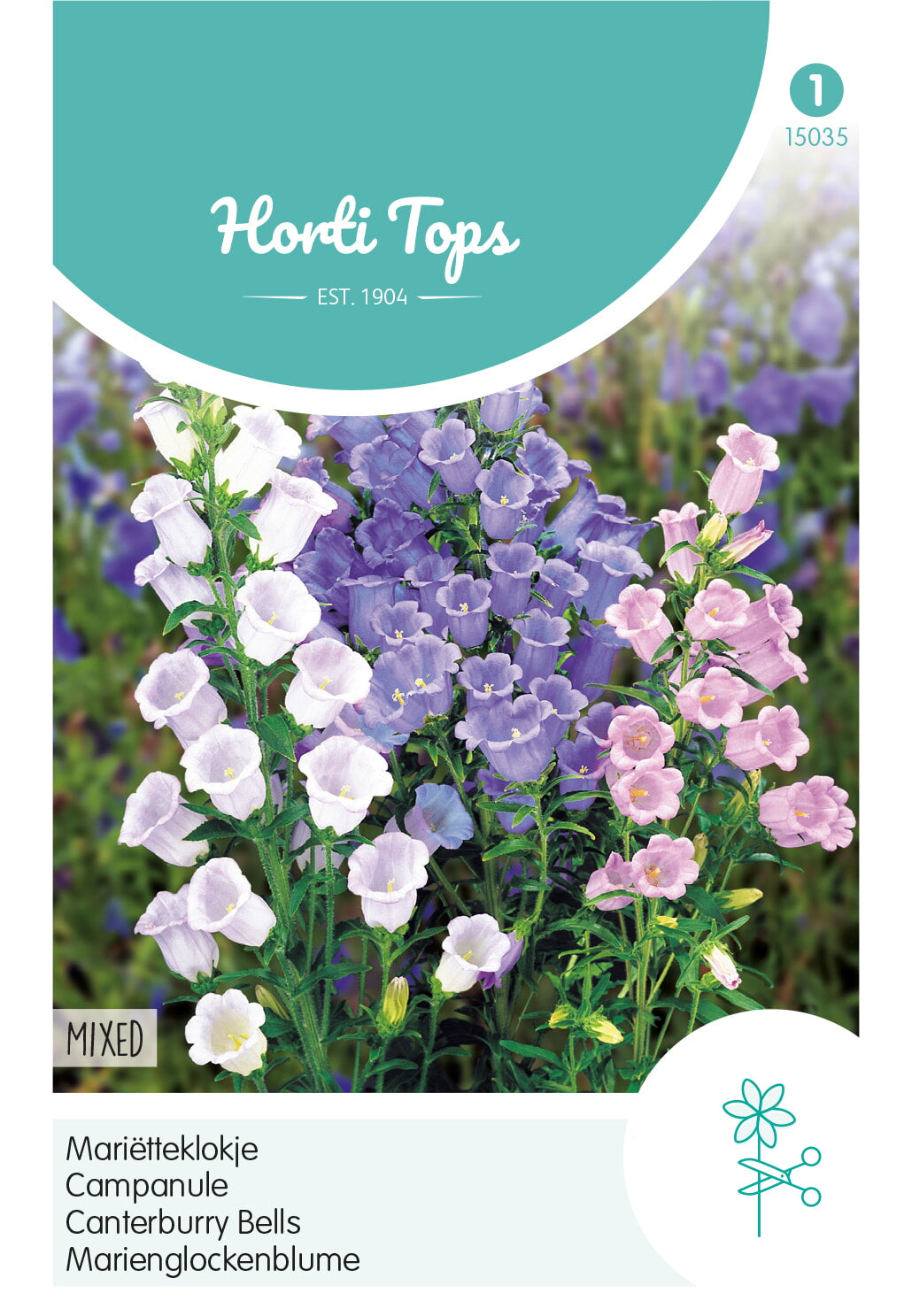 Canterbury Bells - Single Flowered - 0.25 g