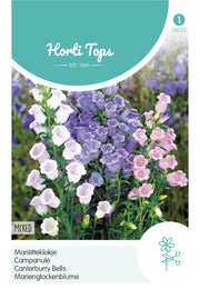 Canterbury Bells - Single Flowered - 0.25 g
