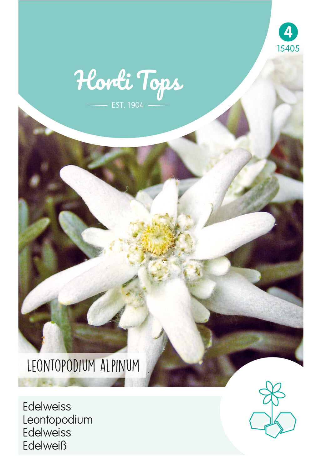 Edelweiss - Leontopodium Alpinum - 0,2g
