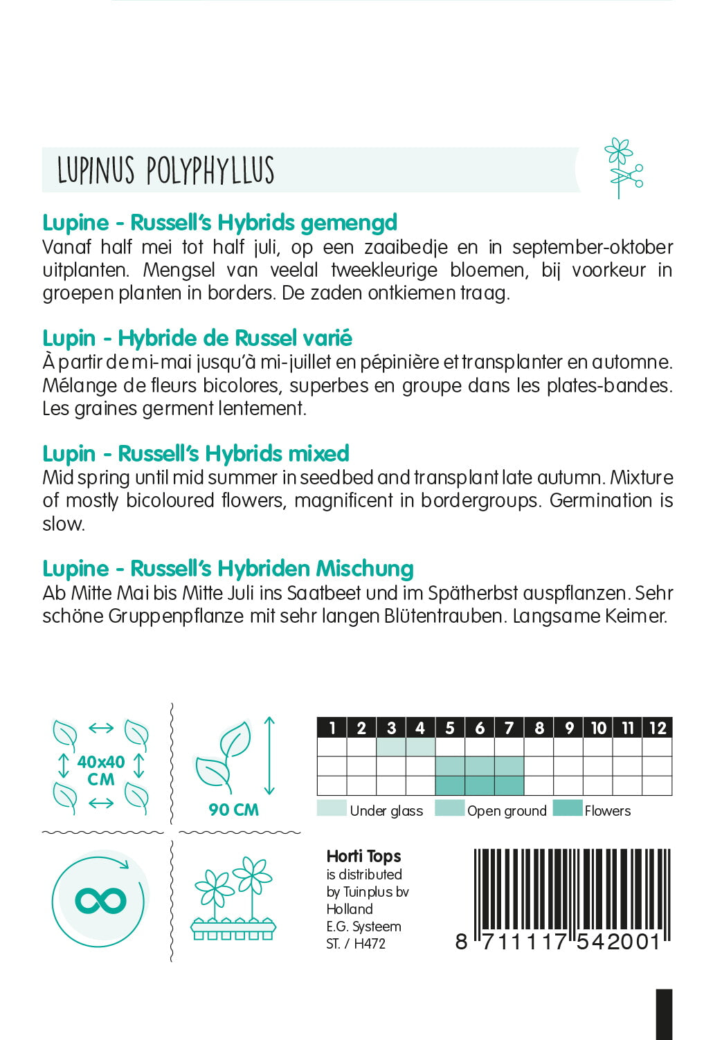 Lupin - Russell's Hybrids - 2 g
