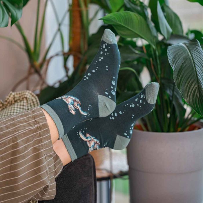 Women's Socks - Turtle - Swimming School