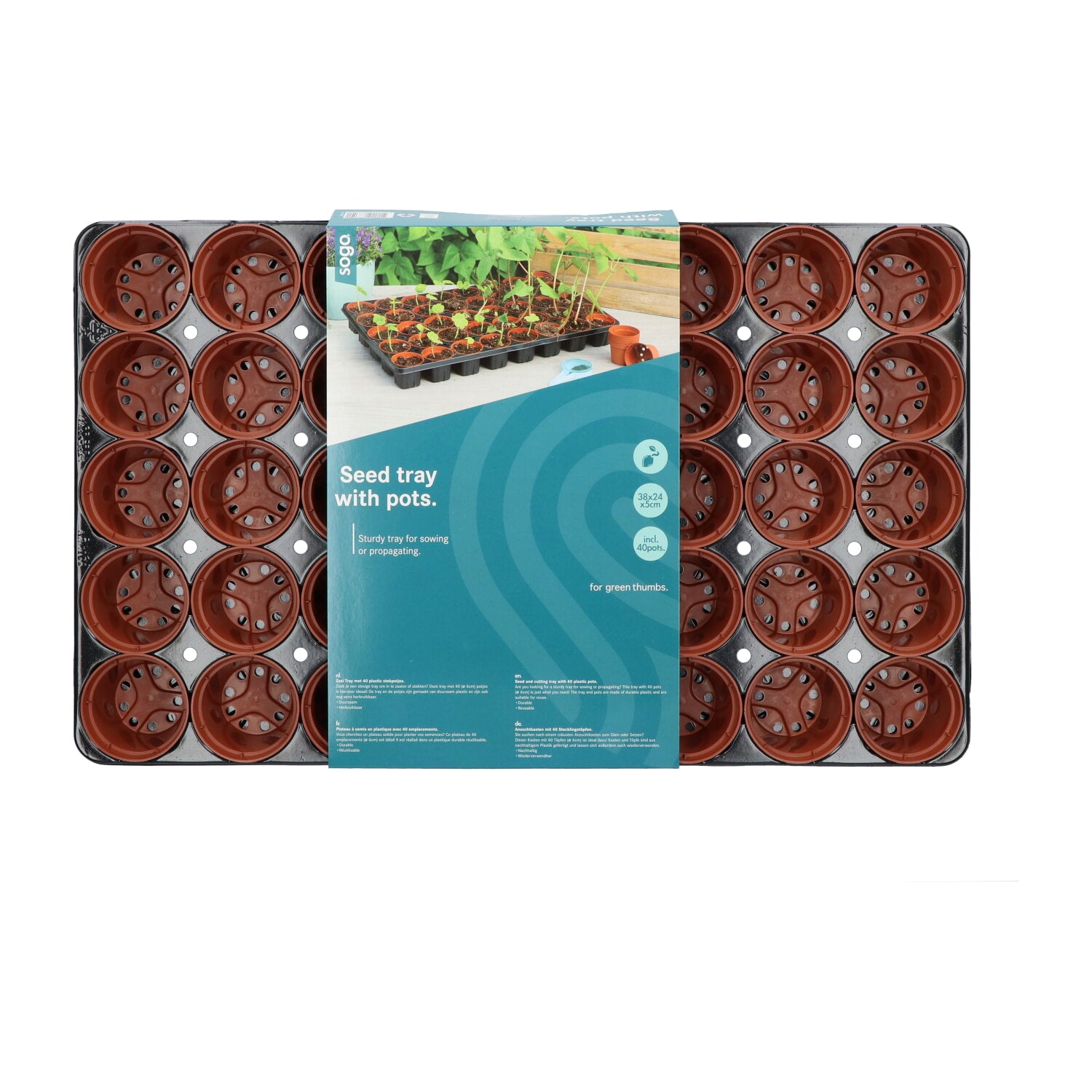 Pladanj za Sjeme - 40 Posuda