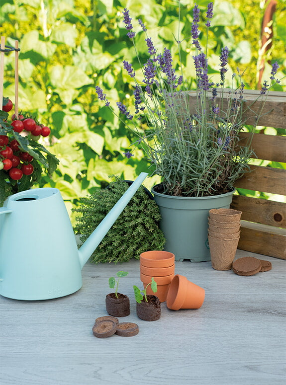 Swelling Growplugs 3,6 cm - 48 kom