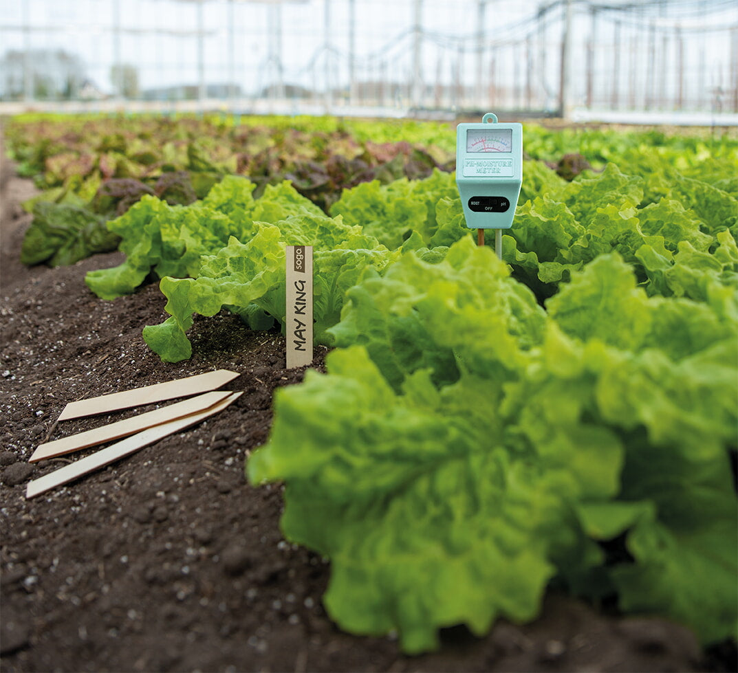 2-u-1 Hygro + PH Mjerač