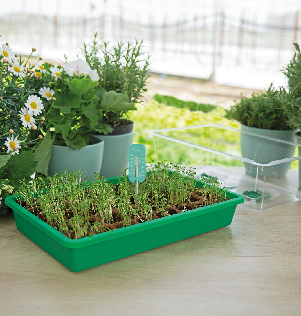 Termometar za Propagator