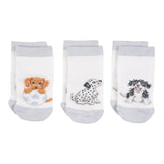 Baby Socks - Little Paws - 0-6 Months-1