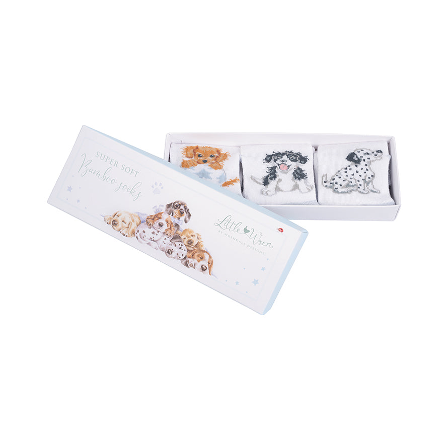 Baby Socks - Little Paws - 6-12 Months-2