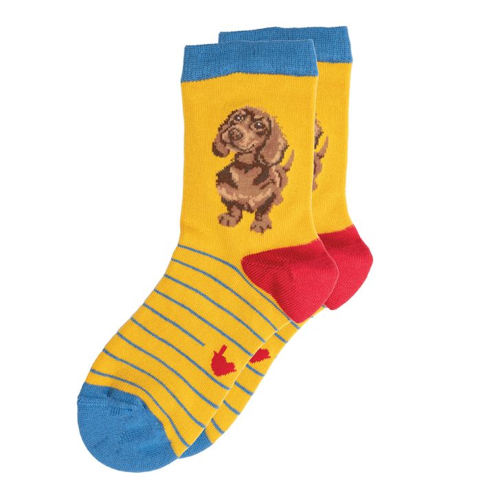 Children's Socks - Dachshund - Little One - 27-30-2