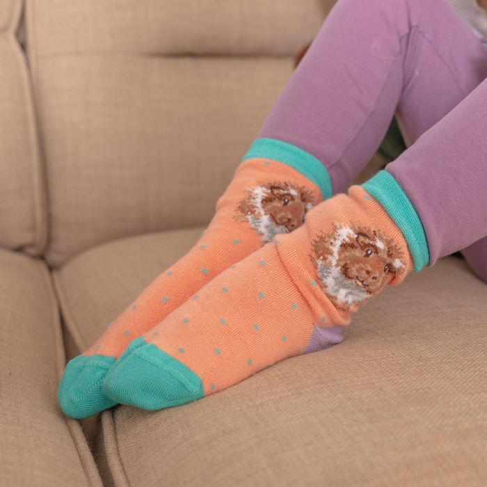 Children's Socks - Guinea pig - Grinny Pig - 23-26-3