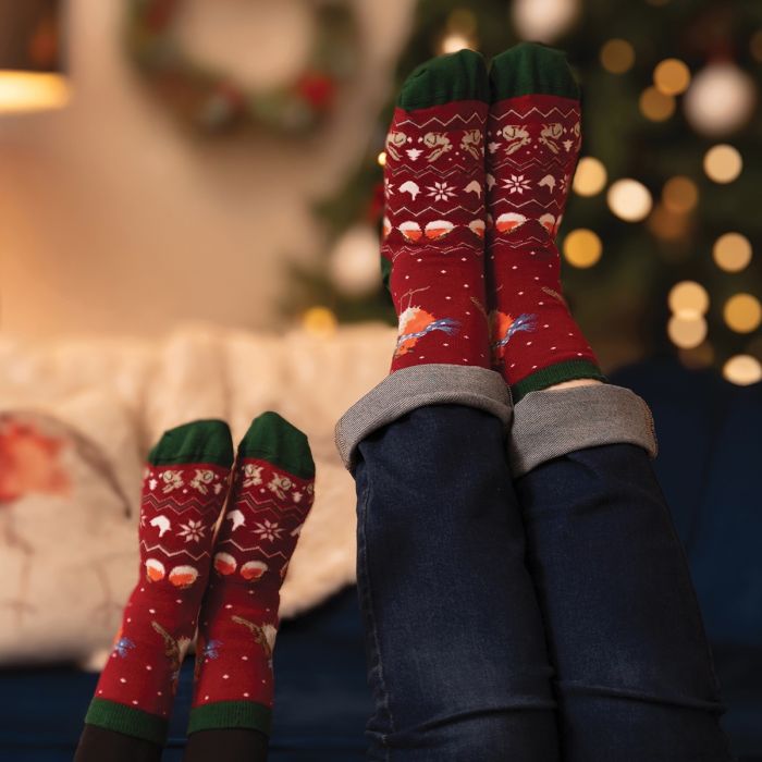Children's Socks - Robin - Season's Tweetings - 23-26-2