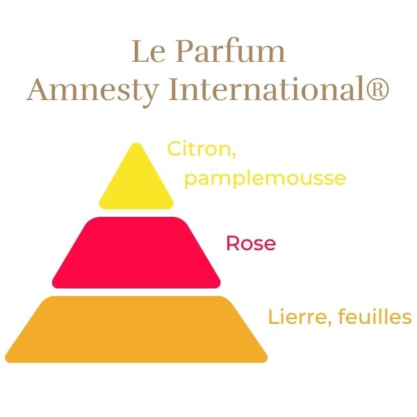 Climbing Rose - Amnesty International®-5